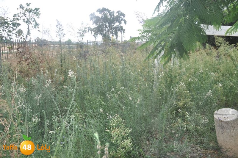 af3a lud 902 school (5).JPG